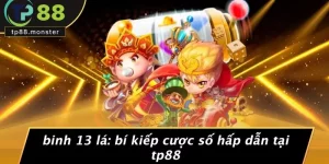 BINH 13 LÁ: BÍ KIẾP CƯỢC SỐ HẤP DẪN TẠI TP88