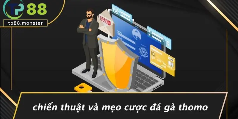 Đá Gà Thomo: Kinh Nghiệm Và Bí Quyết Cá Cược Đỉnh Cao 3 Chiến Thuật Và Mẹo Cược Đá Gà Thomo