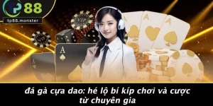 ĐÁ GÀ CỰA DAO: HÉ LỘ BÍ KÍP CHƠI VÀ CƯỢC TỪ CHUYÊN GIA