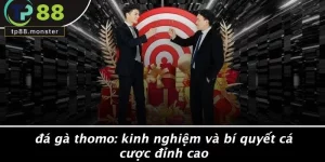 ĐÁ GÀ THOMO: KINH NGHIỆM VÀ BÍ QUYẾT CÁ CƯỢC ĐỈNH CAO