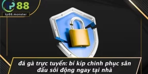 ĐÁ GÀ TRỰC TUYẾN: BÍ KÍP CHINH PHỤC SÂN ĐẤU SÔI ĐỘNG NGAY TẠI NHÀ