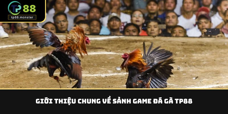 Giới thiệu chung về sảnh game đá gà TP88