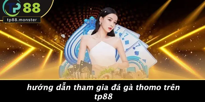 Đá Gà Thomo: Kinh Nghiệm Và Bí Quyết Cá Cược Đỉnh Cao 2 Hướng Dẫn Tham Gia Đá Gà Thomo Trên TP88