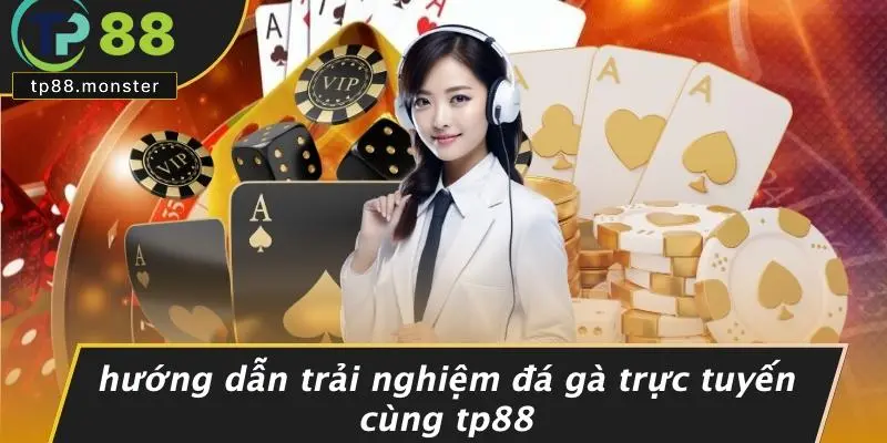 Đá Gà Trực Tuyến: Bí Kíp Chinh Phục Sân Đấu Sôi Động Ngay Tại Nhà 1 Hướng Dẫn Trải Nghiệm Đá Gà Trực Tuyến Cùng TP88