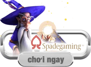 sg 300x222 1
