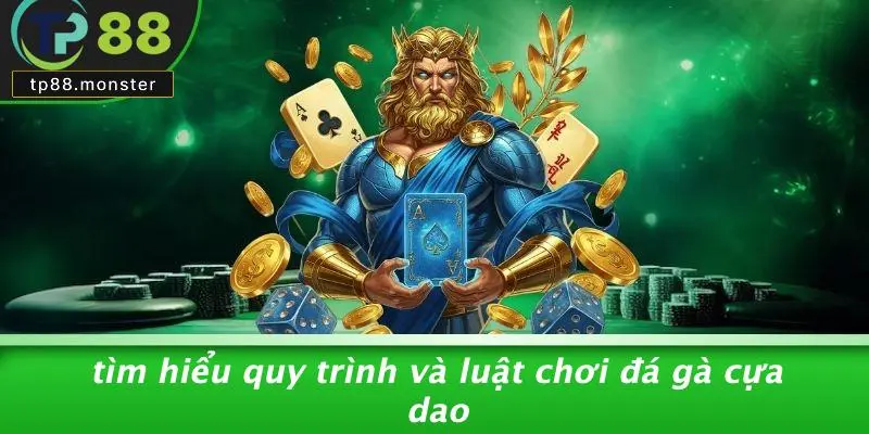 Đá Gà Cựa Dao: Hé Lộ Bí Kíp Chơi Và Cược Từ Chuyên Gia 1 Tìm Hiểu Quy Trình Và Luật Chơi Đá Gà Cựa Dao