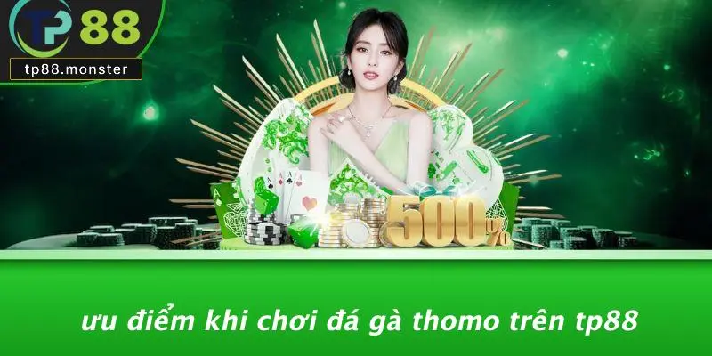 Đá Gà Thomo: Kinh Nghiệm Và Bí Quyết Cá Cược Đỉnh Cao 1 Ưu Điểm Khi Chơi Đá Gà Thomo Trên TP88