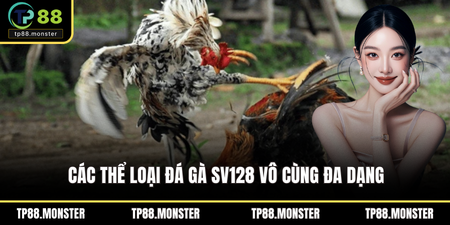 Các thể loại đá gà SV128 vô cùng đa dạng