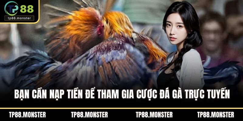 Bạn cần nạp tiền để tham gia cược đá gà trực tuyến
