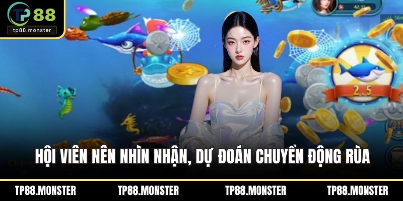 Hội viên nên nhìn nhận, dự đoán chuyển động rùa