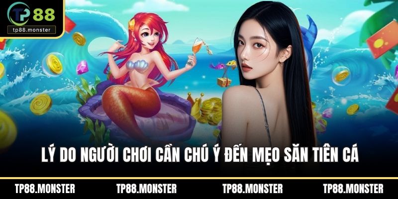 Lý do người chơi cần chú ý đến mẹo săn tiên cá
