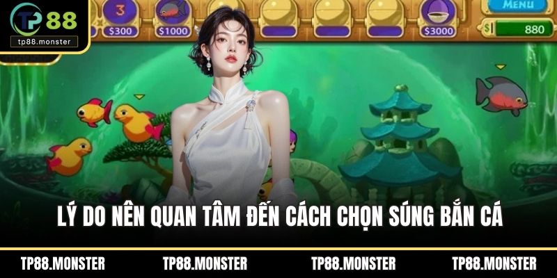 Lý do nên quan tâm đến cách chọn súng bắn cá