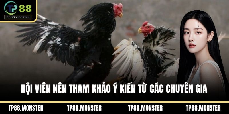 Hội viên nên tham khảo ý kiến từ các chuyên gia tại nền tảng