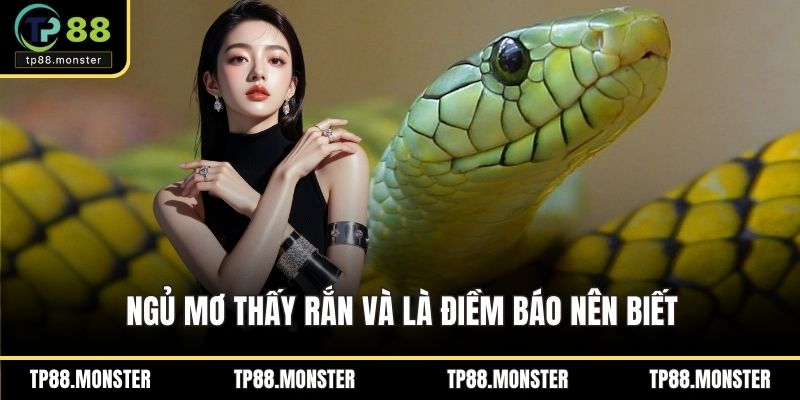 Ngủ mơ thấy rắn và là điềm báo nên biết