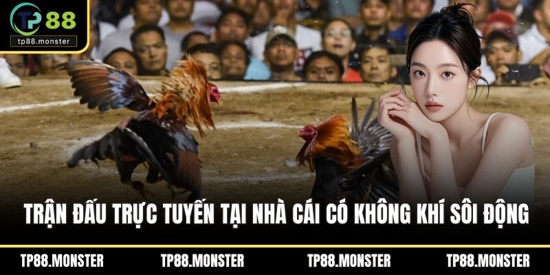Các trận đấu trực tuyến tại nhà cái có không khí sôi động