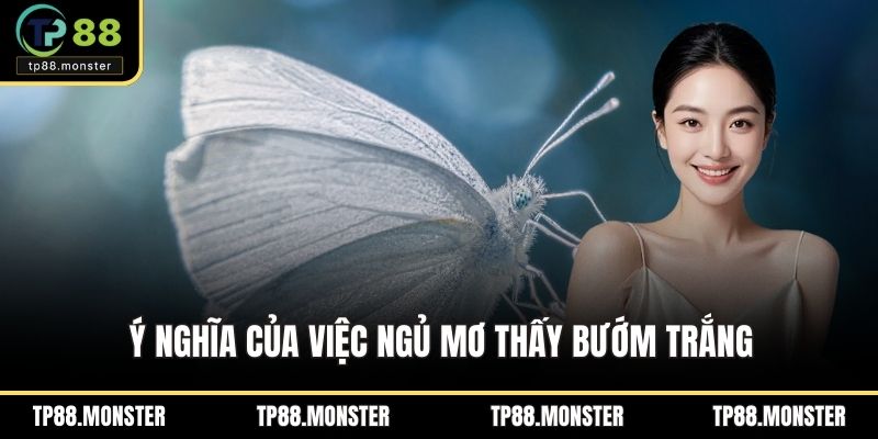 Ý nghĩa của việc ngủ mơ thấy bướm trắng