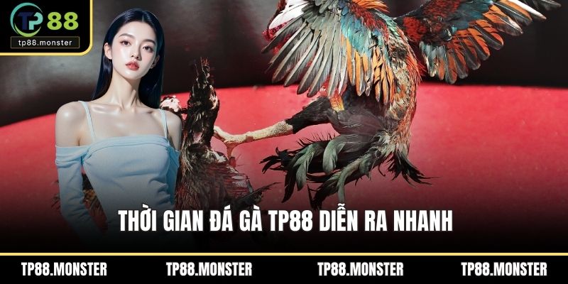 Thời gian đá gà TP88 diễn ra nhanh