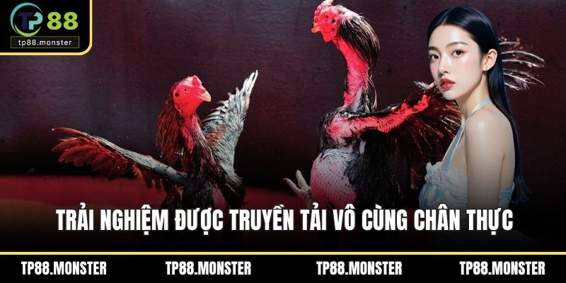 Trải nghiệm được truyền tải vô cùng chân thực